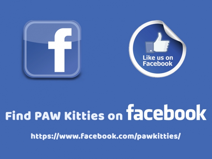 Find PAW Kitties on Facebook