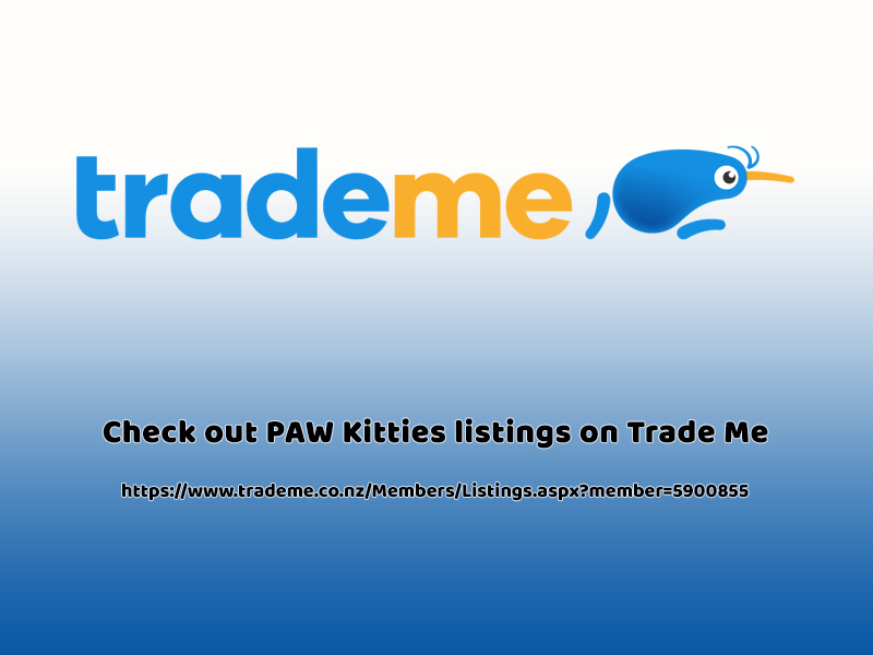 Check out PAW Kitties listings on Trade Me